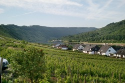 Aussicht Sonnenhof