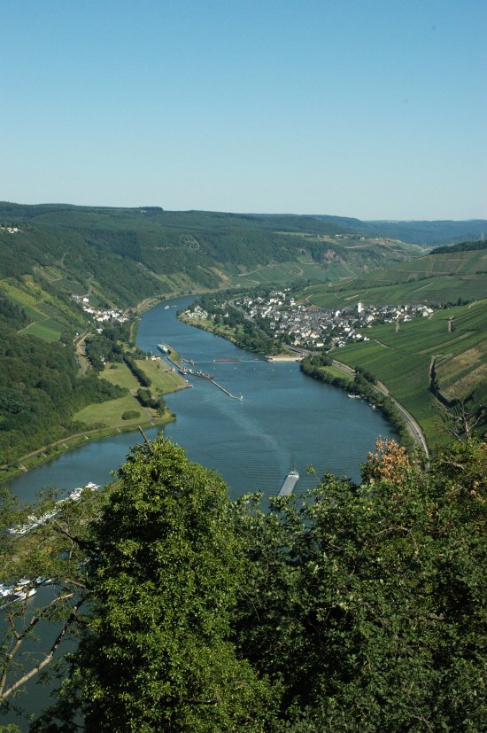 Blick auf Enkirch